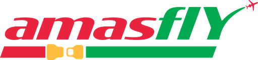 AMASFLY